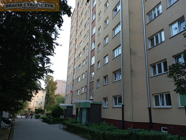 Mieszkanie Wynajem  Wola Jana Olbrachta 8
